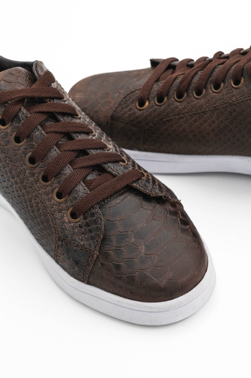 Tenis Hombre Sneakers Marrón Grabado Snake