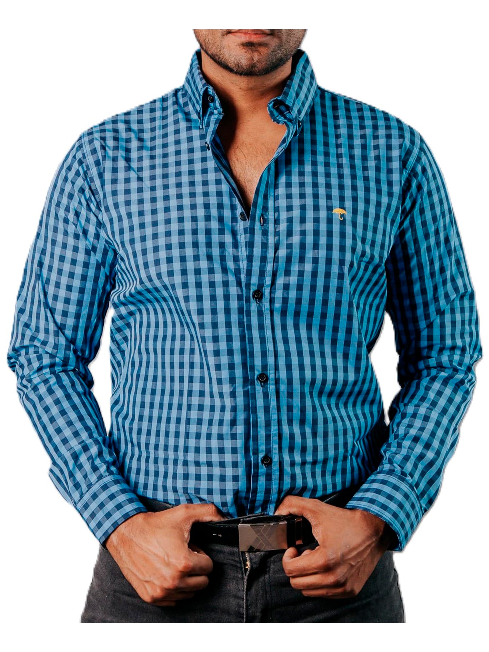 Camisa Hombre Casual Mini Cuadros Azul, Negros