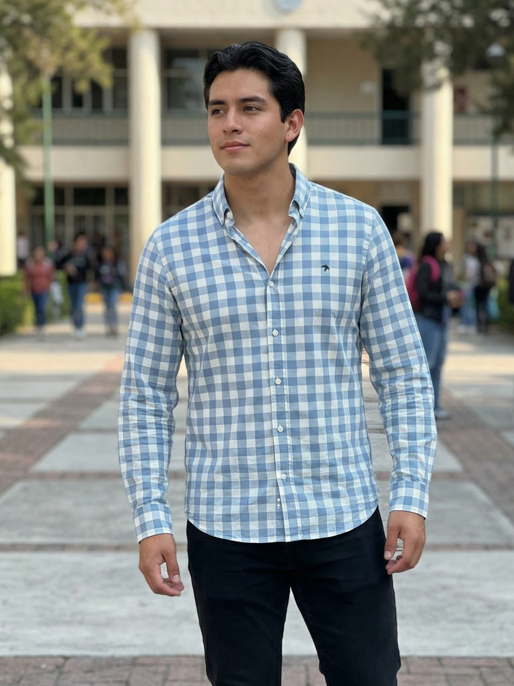 Camisa Hombre Casual Cuadros Gris Azulados, Blancos