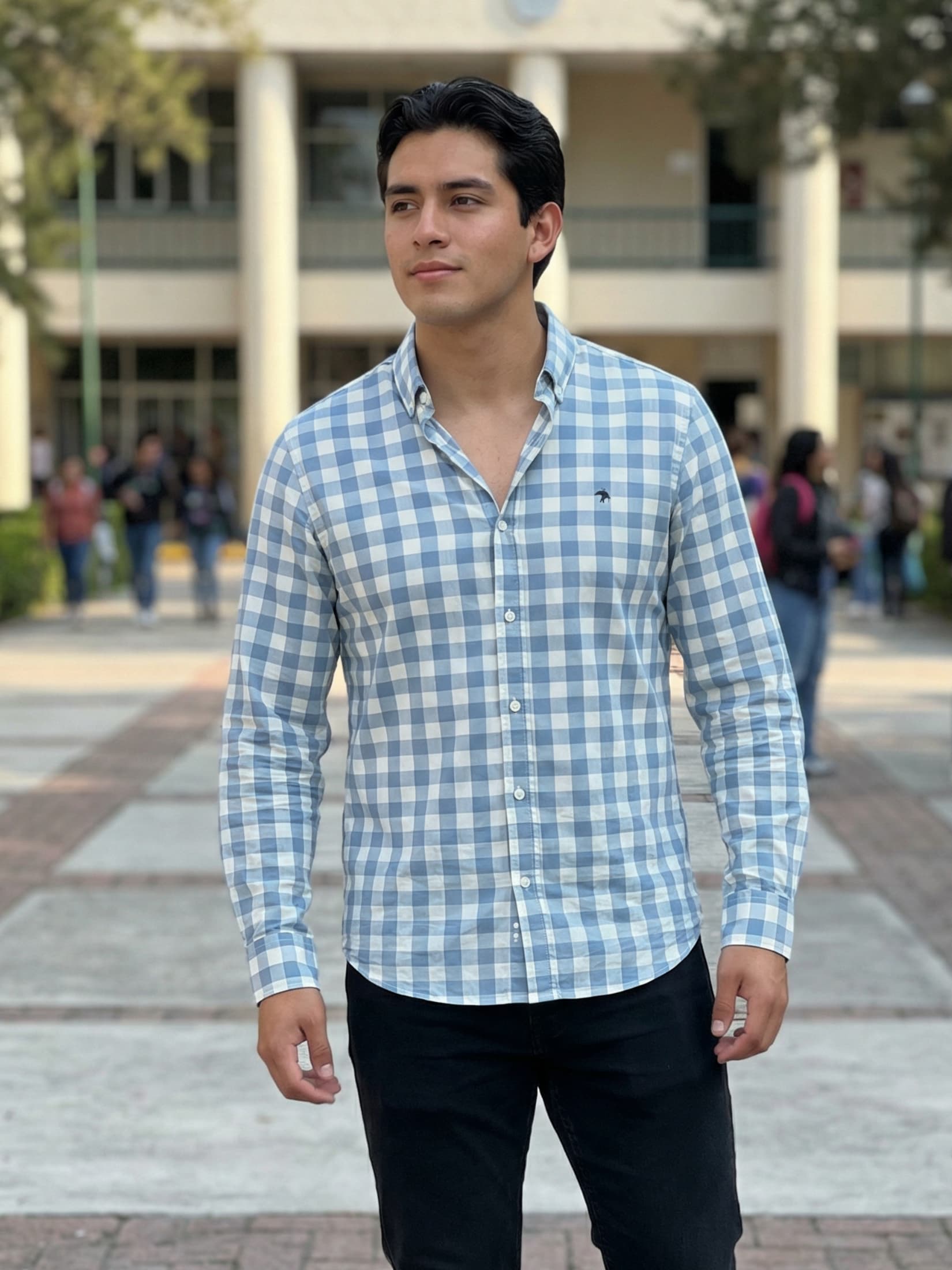 Camisa Hombre Casual Cuadros Gris Azulados, Blancos