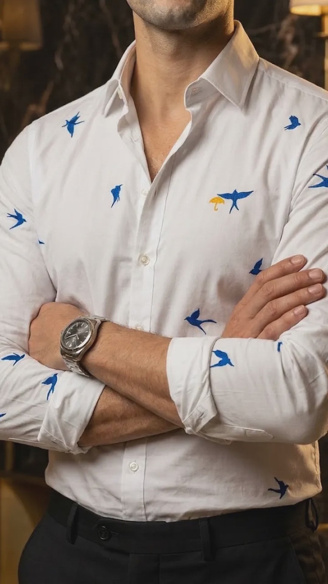 Camisa Hombre Casual Figuras Aves Marino - Coastal S (video)