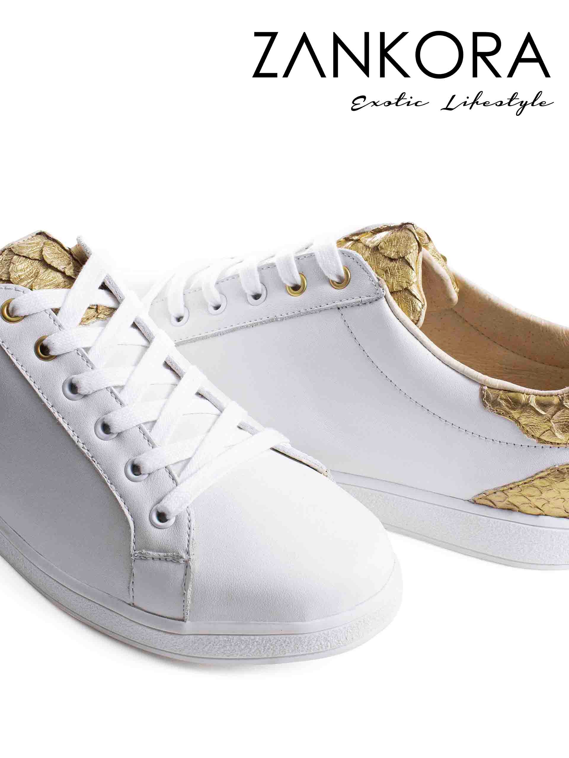 Tenis Blancos Lisos Detalles Pitón Dorado - Tiendas Platino Tenis Hombre 25 MX