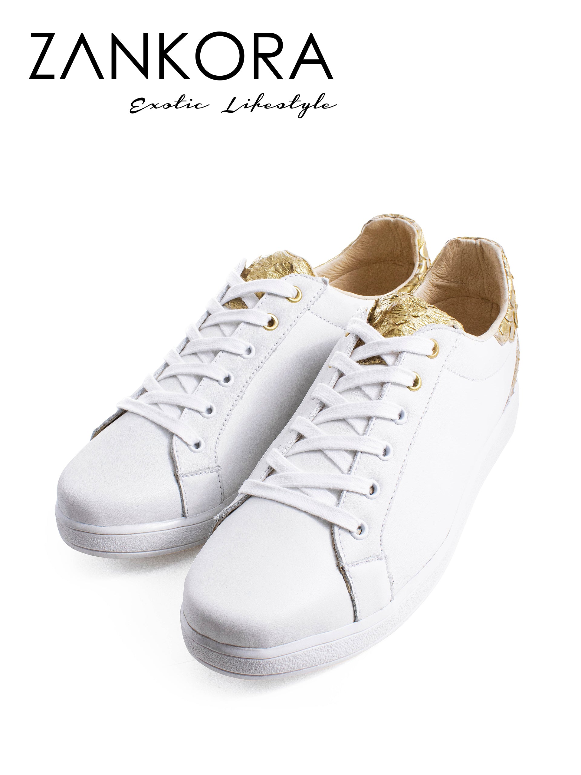 Tenis Blancos Lisos Detalles Pitón Dorado - Tiendas Platino Tenis Hombre 25 MX