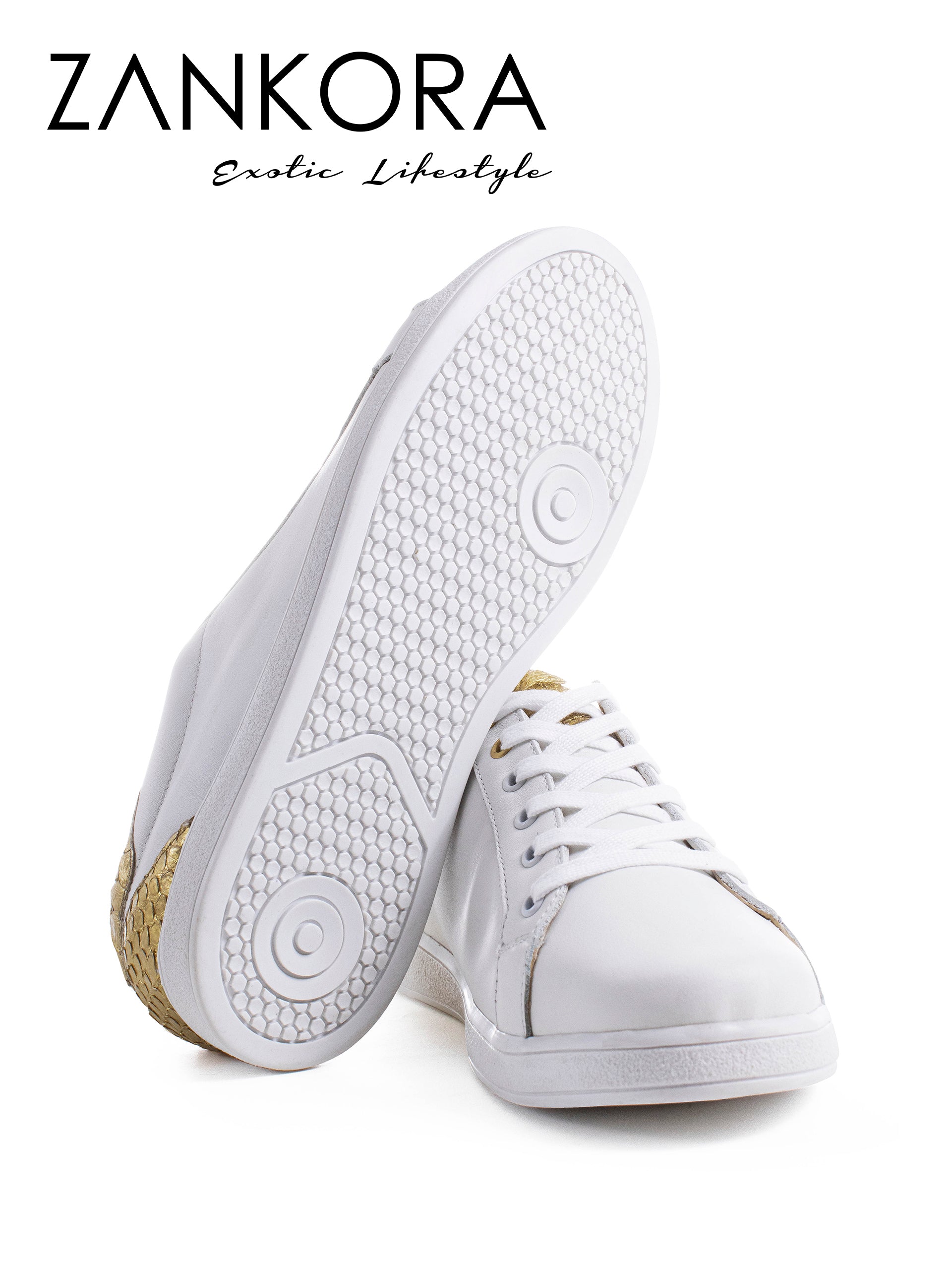 Tenis Blancos Lisos Detalles Pitón Dorado - Tiendas Platino Tenis Hombre 25 MX
