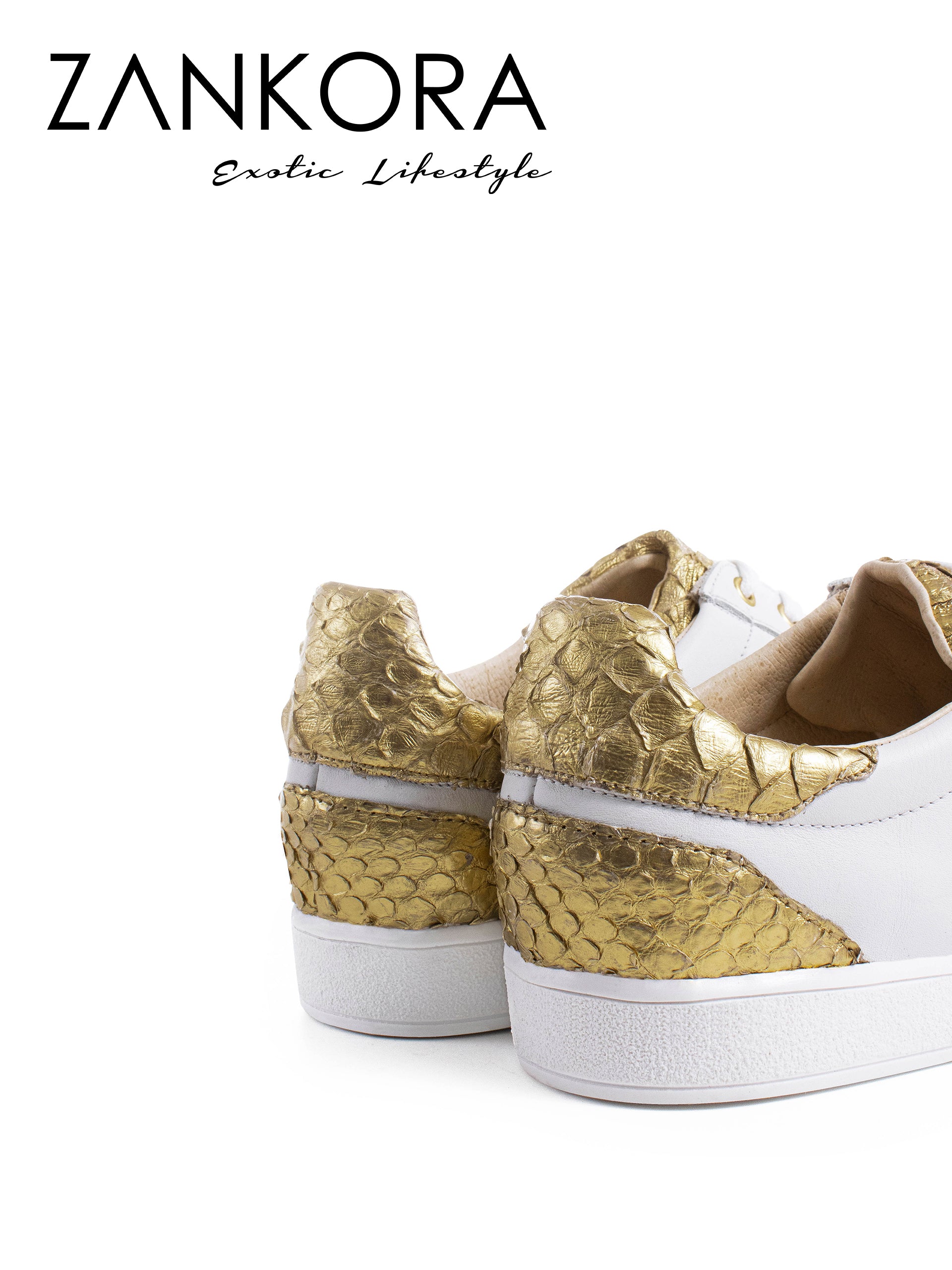 Tenis Blancos Lisos Detalles Pitón Dorado - Tiendas Platino Tenis Hombre 25 MX